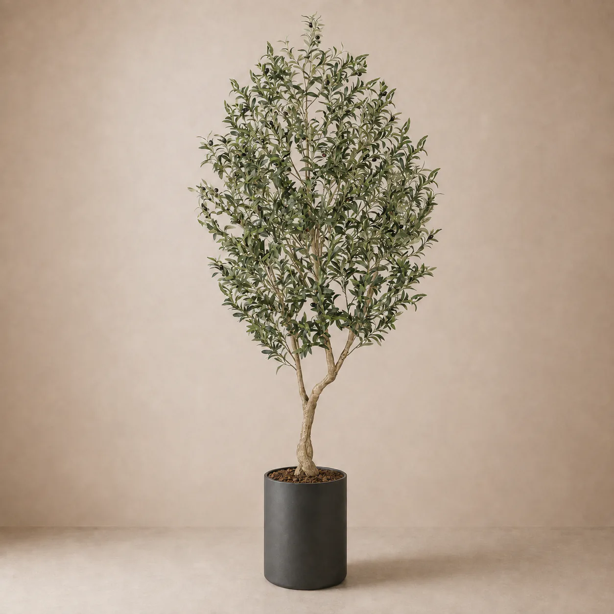 Artificial Olive Tree rental plant