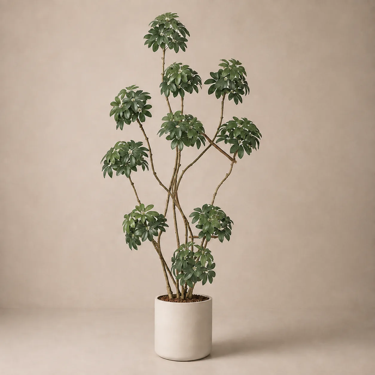 Artificial Umbrella Tree (Schefflera) recommended for Markham