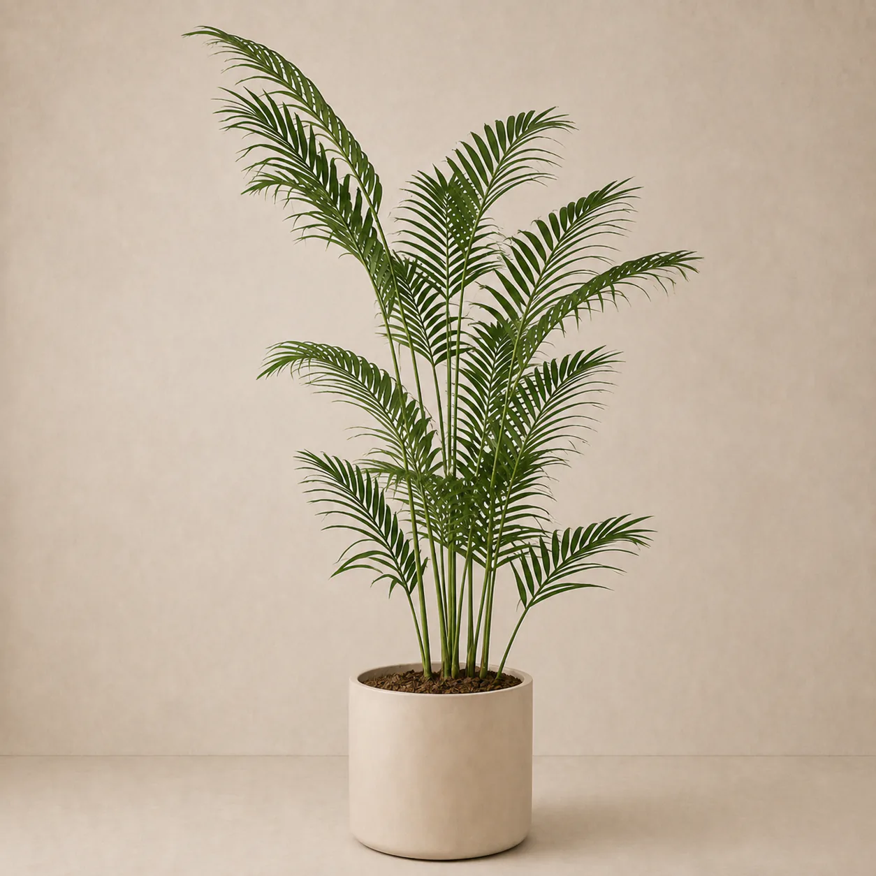 Artificial Areca Palm recommended for Brampton