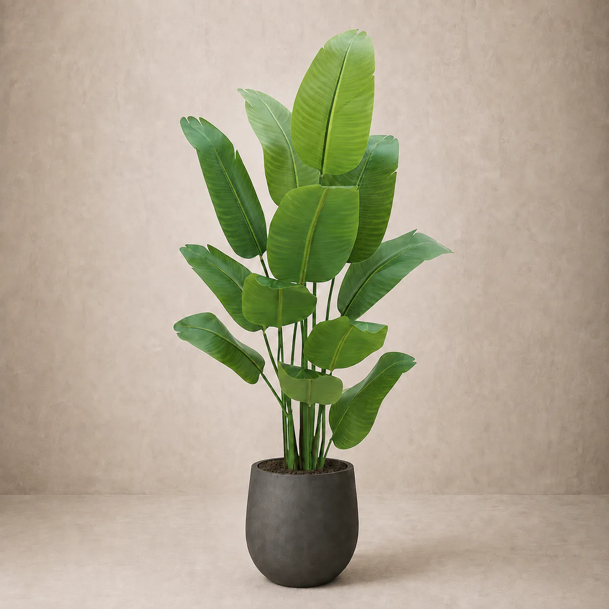 Artificial Bird of Paradise Plant rental plant