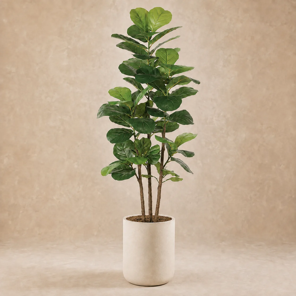 Artificial Fiddle-Leaf Fig rental plant