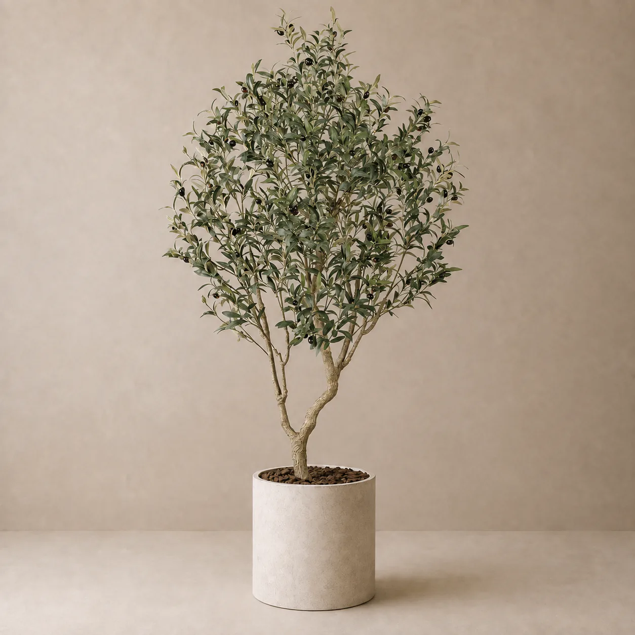 Artificial Olive Tree rental plant