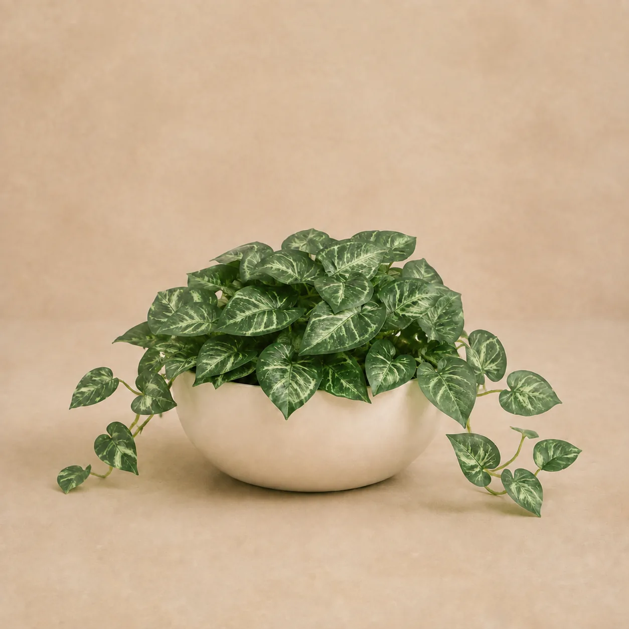 Artificial Golden Pothos Bowl recommended for Markham