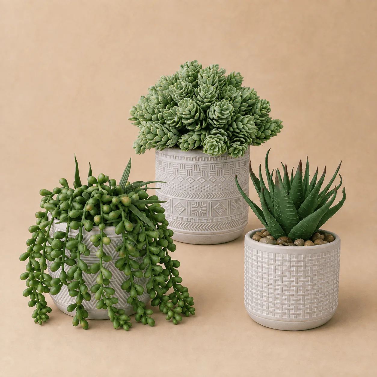 Artificial Succulent Centrepiece Set rental plant
